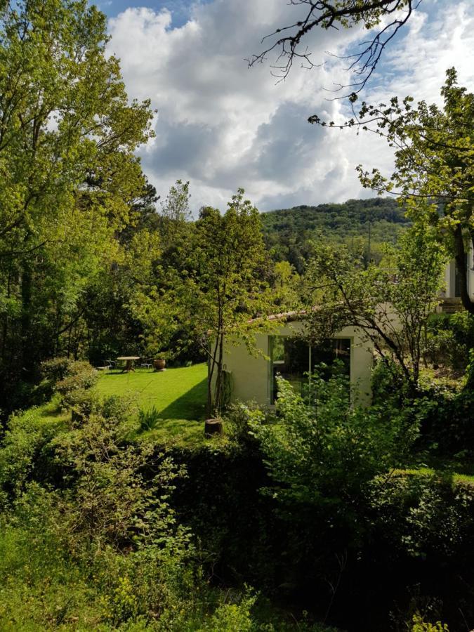 Beautiful Studio Surrounded By Nature Лане Экстерьер фото