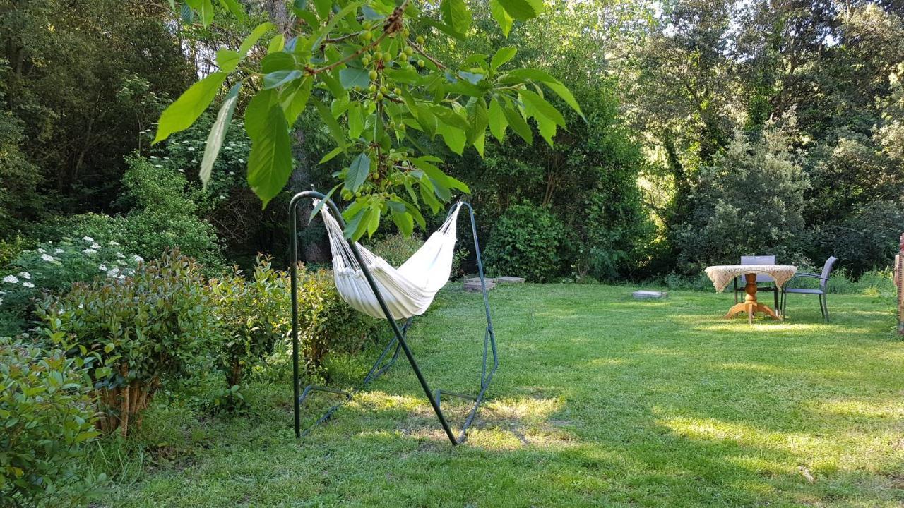 Beautiful Studio Surrounded By Nature Лане Экстерьер фото