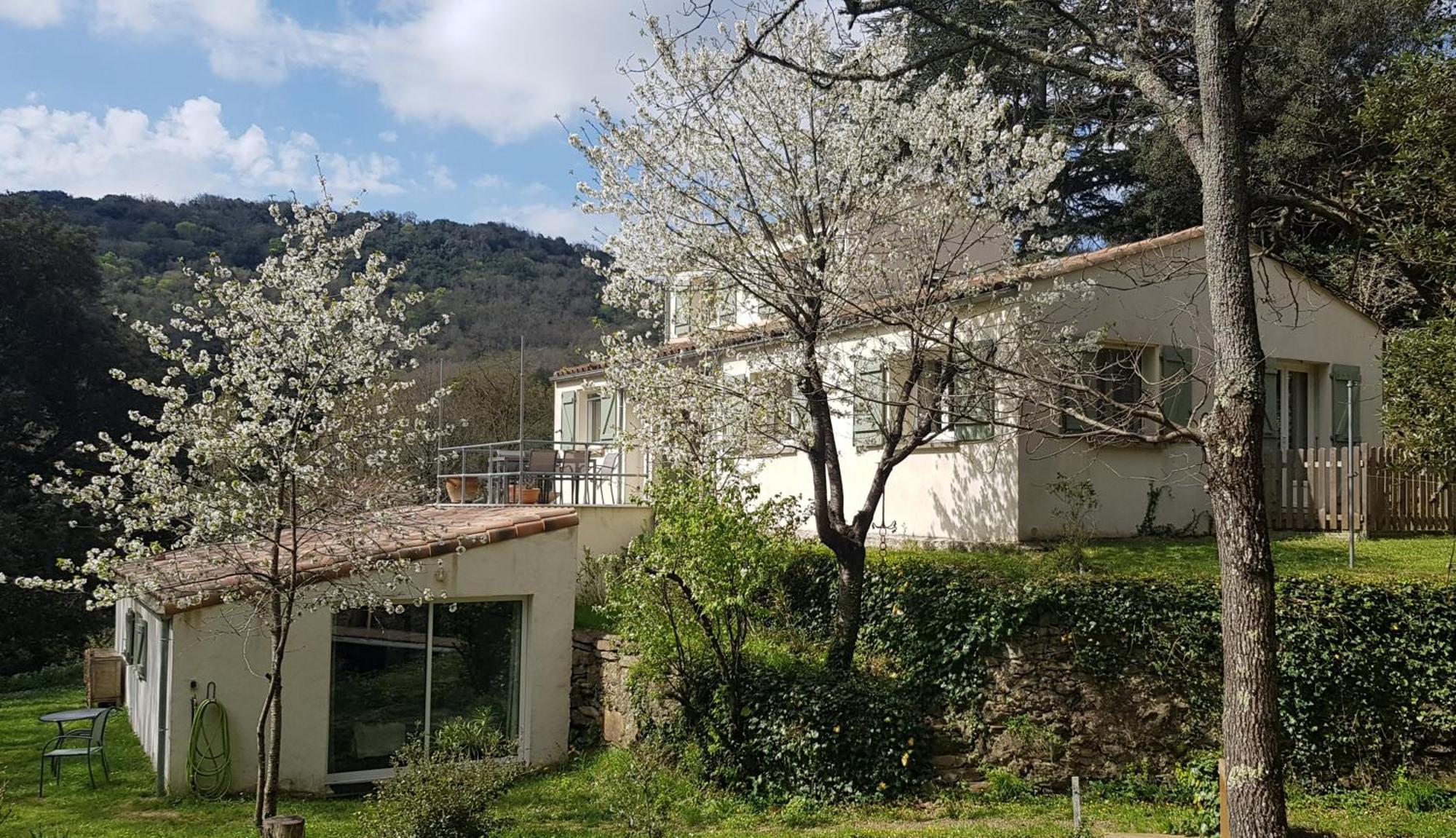 Beautiful Studio Surrounded By Nature Лане Экстерьер фото