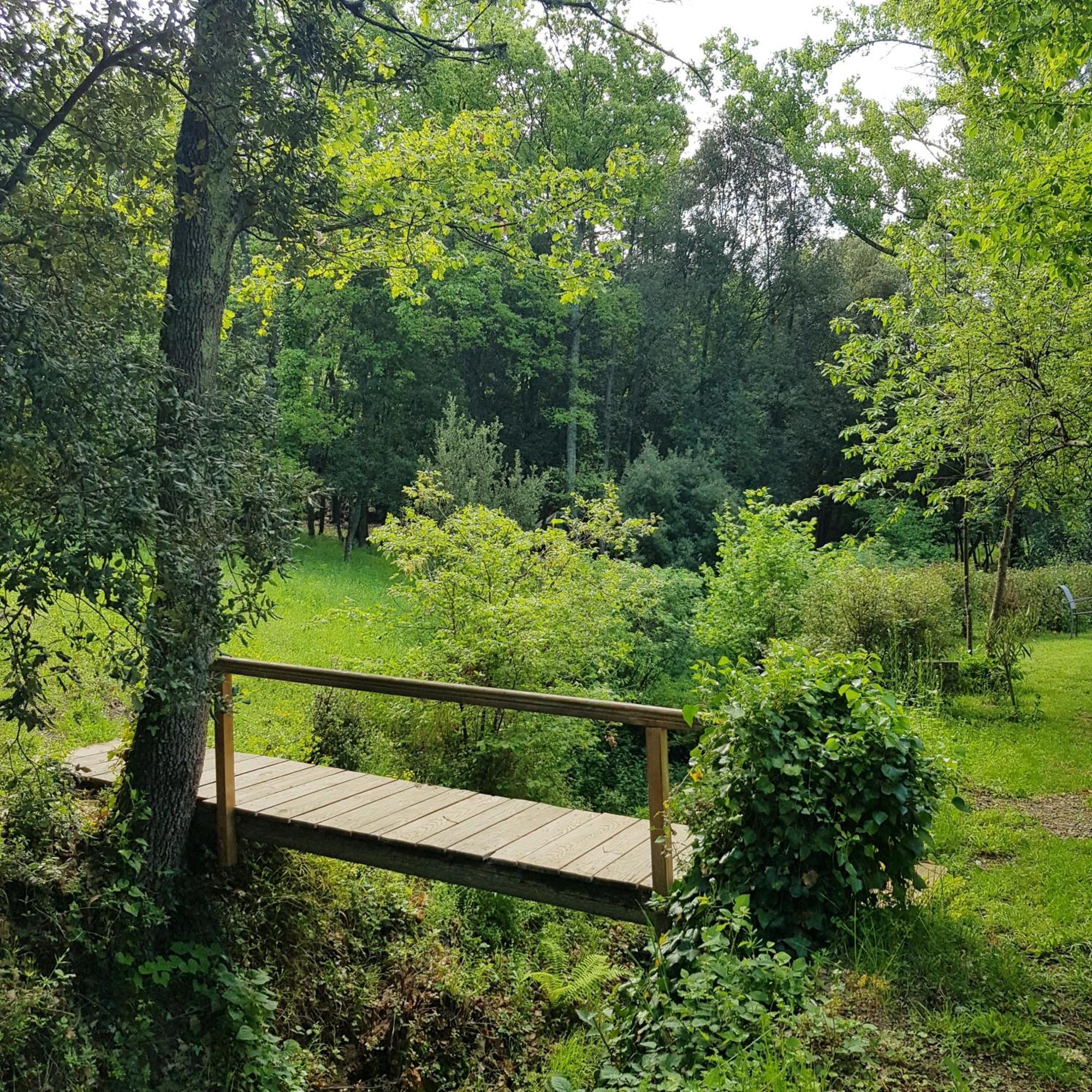 Beautiful Studio Surrounded By Nature Лане Экстерьер фото